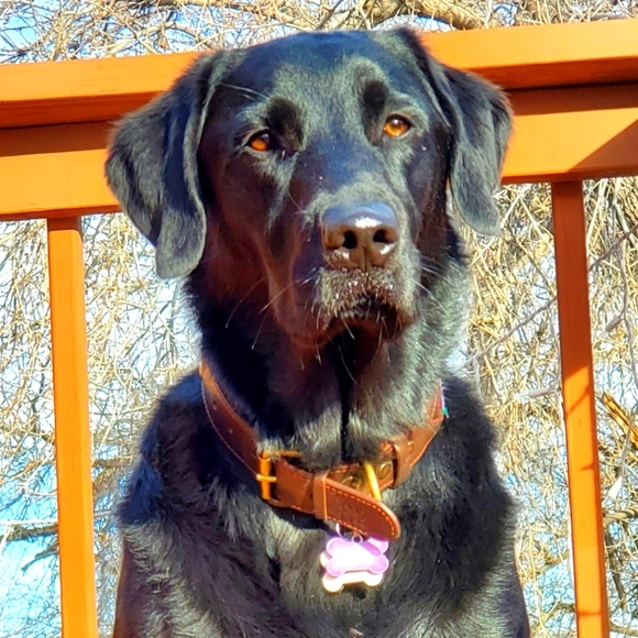 Let's Make Some Deals Over 1000 Items - Picture 1 of 1